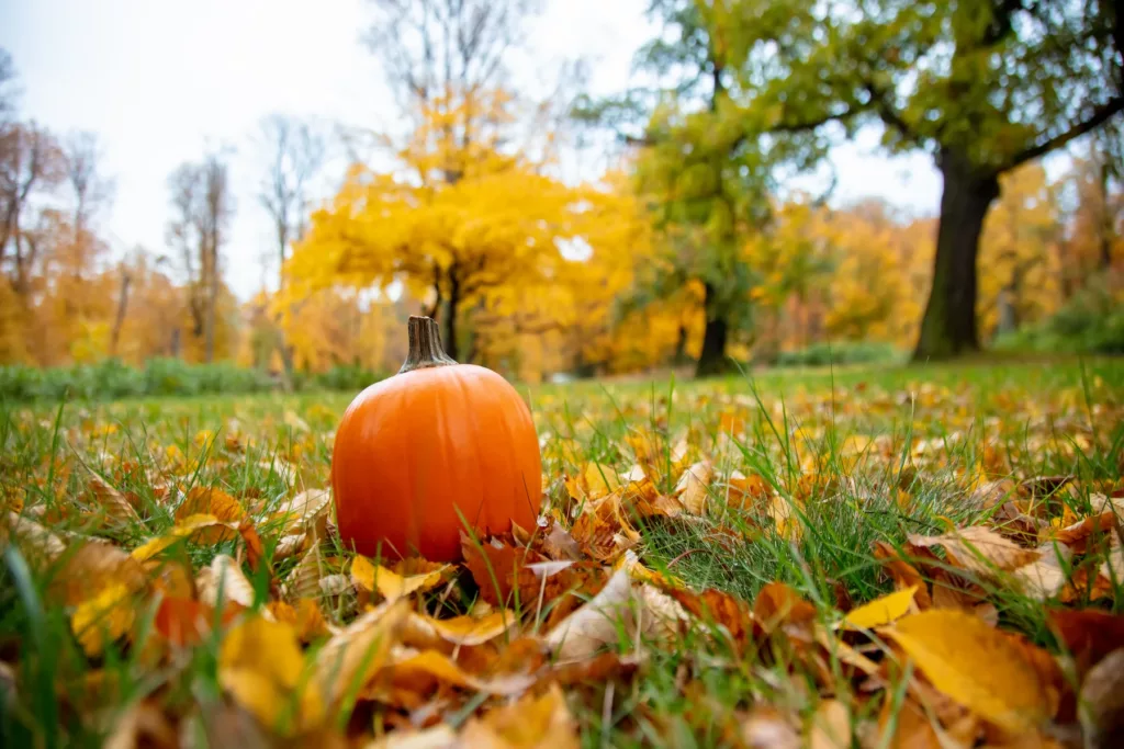 Halloween Parc floral Apremont sur Allier 