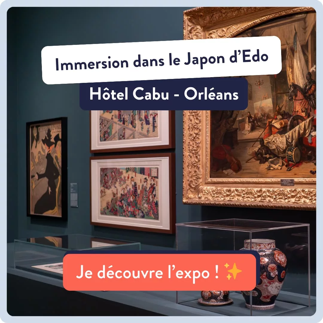 Musées Orléans Hôtel Cabu