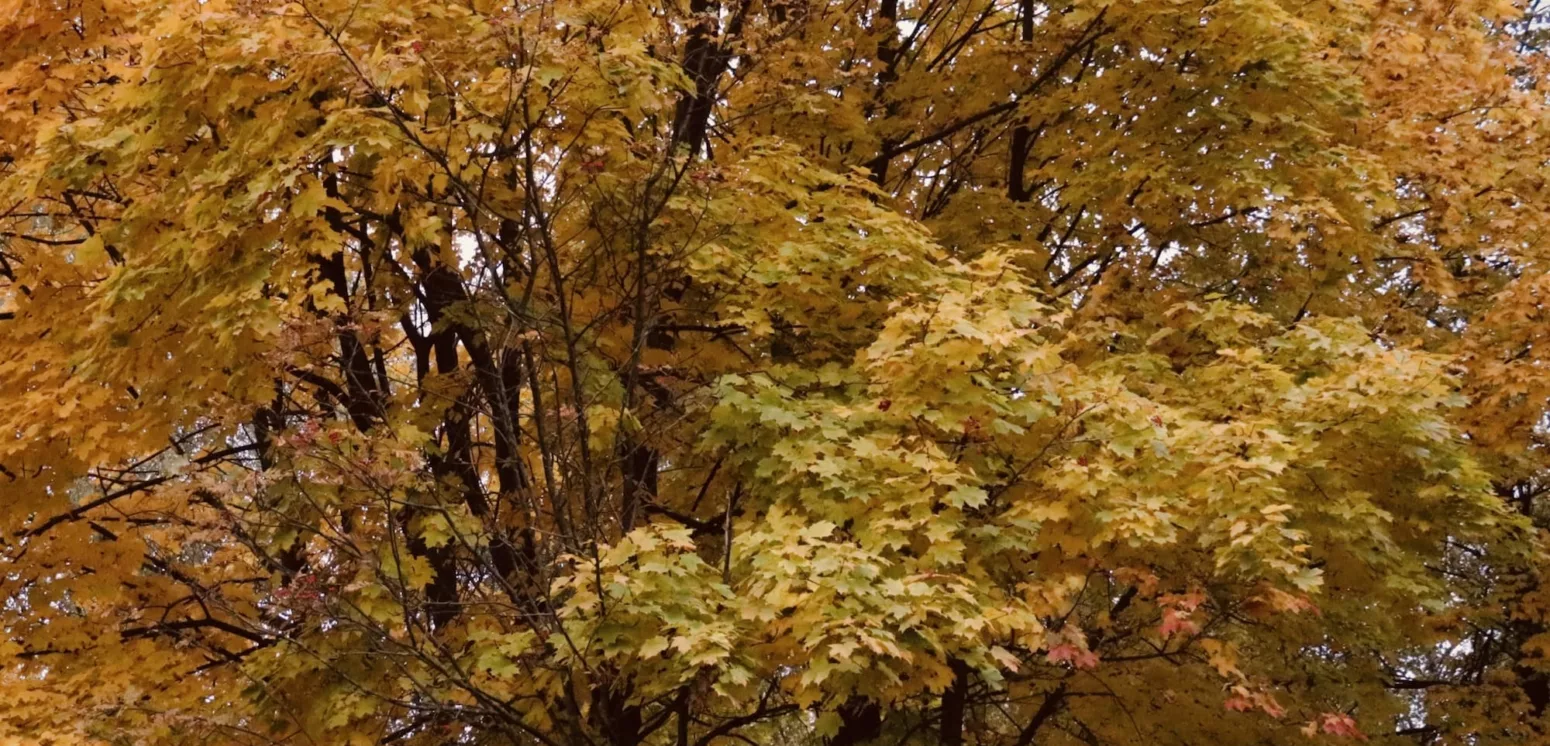 que faire quand il pleut dans la Nièvre