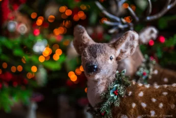 Vivez la magie de Noël au château de Villandry