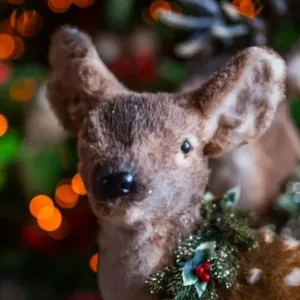 2025-noel-Chateau-Villandry