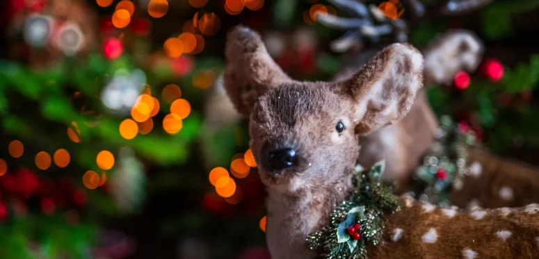 Vivez la magie de Noël au château de Villandry