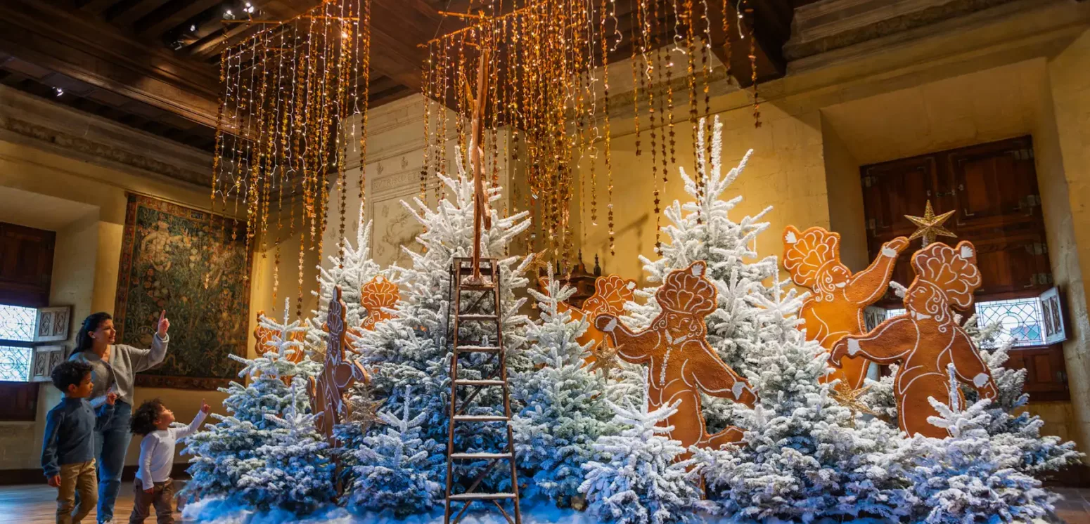 Château d'Azay-le-Rideau Noël