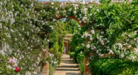 ainay le vieil chateau