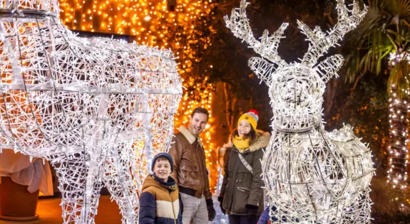 Noel au ZooParc de Beauval 2025