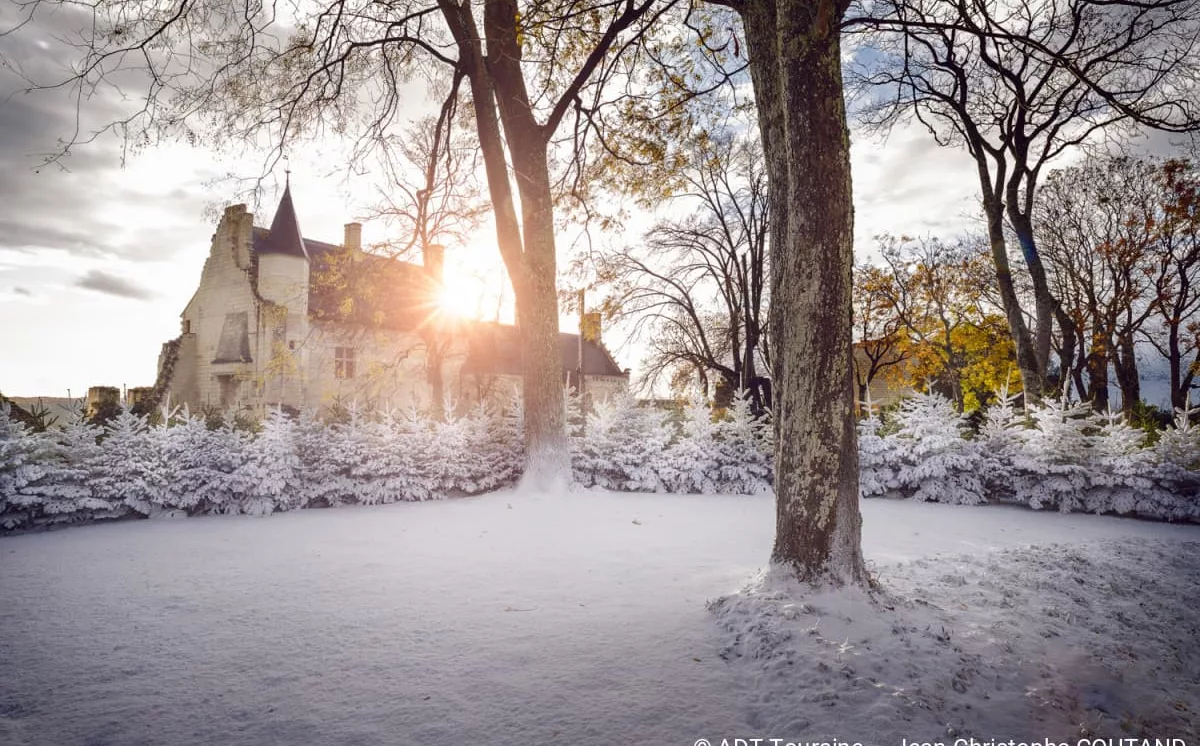Noel Touraine et Vienne