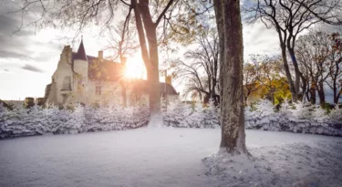 Noel Touraine et Vienne