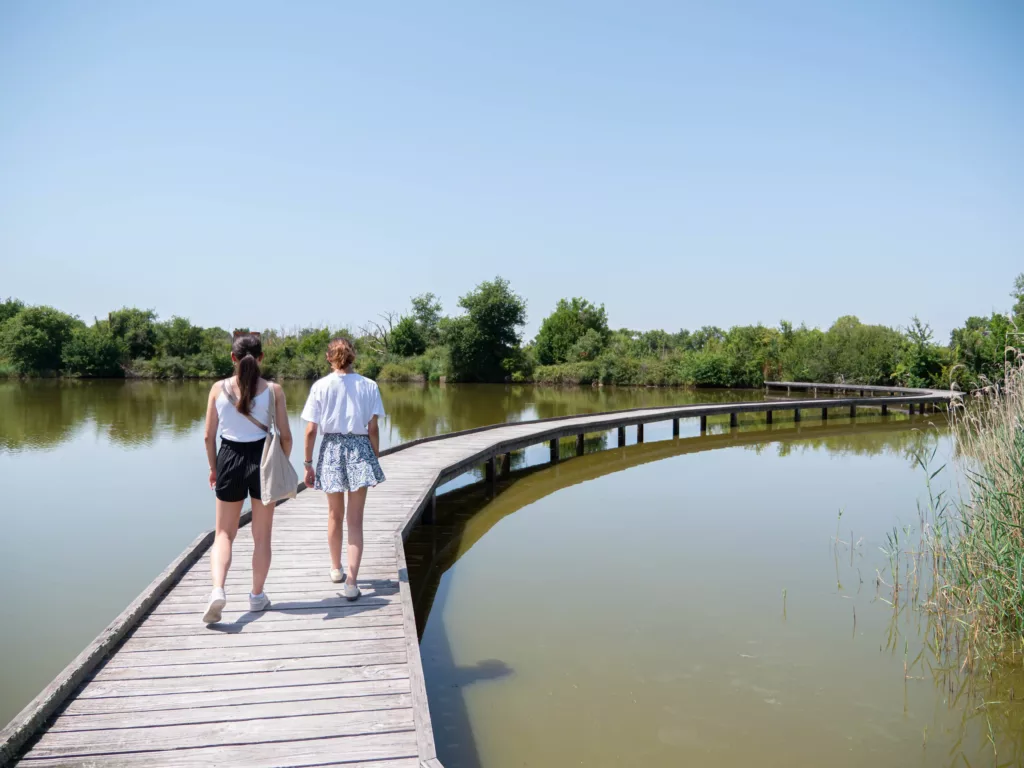 etang-brenne-passerelle-balade-découverte coup de coeur 2025