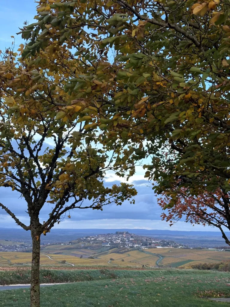 sancerre paysage coup de coeur 2025  