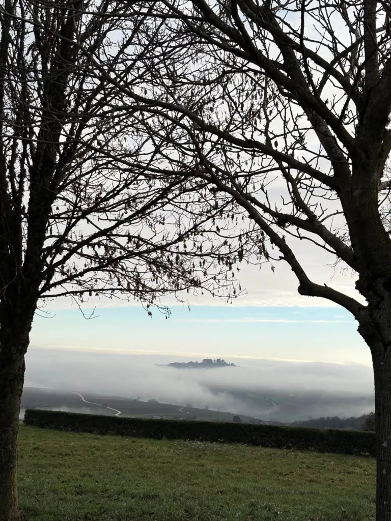 sancerre brume coup de coeur 2025