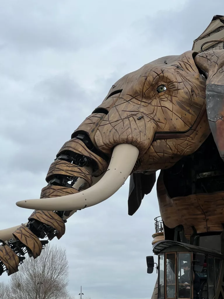 Ile des machines éléphant cc Eve N. MLV