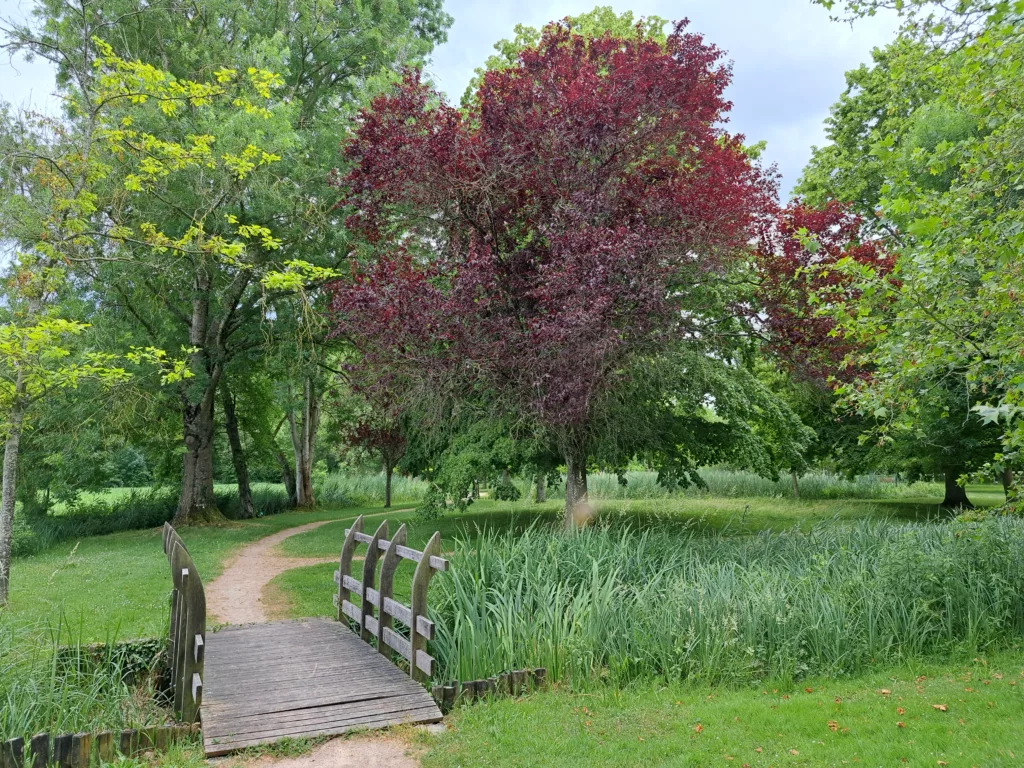 Jardin cc OT Champs d'Amour - FC - Village de Saint Valentin