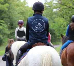 la ferme des trois sources centre equestre sancoins
