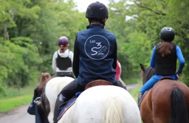 la ferme des trois sources centre equestre sancoins