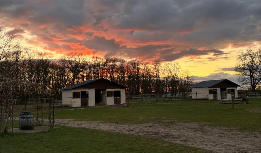 la ferme des trois sources centre equestre nature box