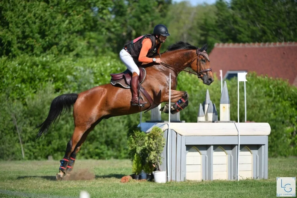 la ferme des trois sources centre equestre à sancoins : cours d’équitation adaptés à tous les niveaux