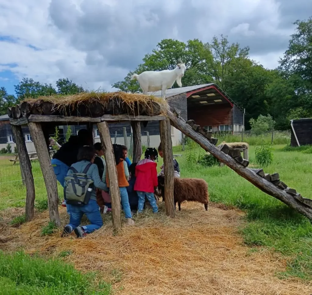 la ferme des trois sources centre pédagogique ferme animaux colonies de vacances 