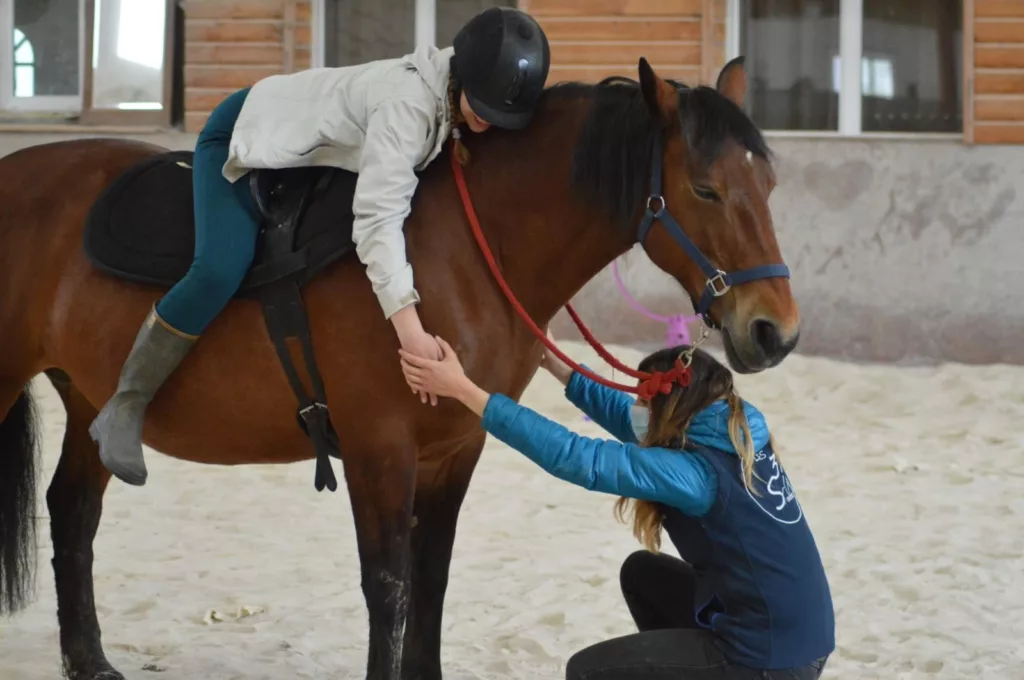 la ferme équestre des trois sources centre thérapeutique ergothérapie propose des séances individuelles 