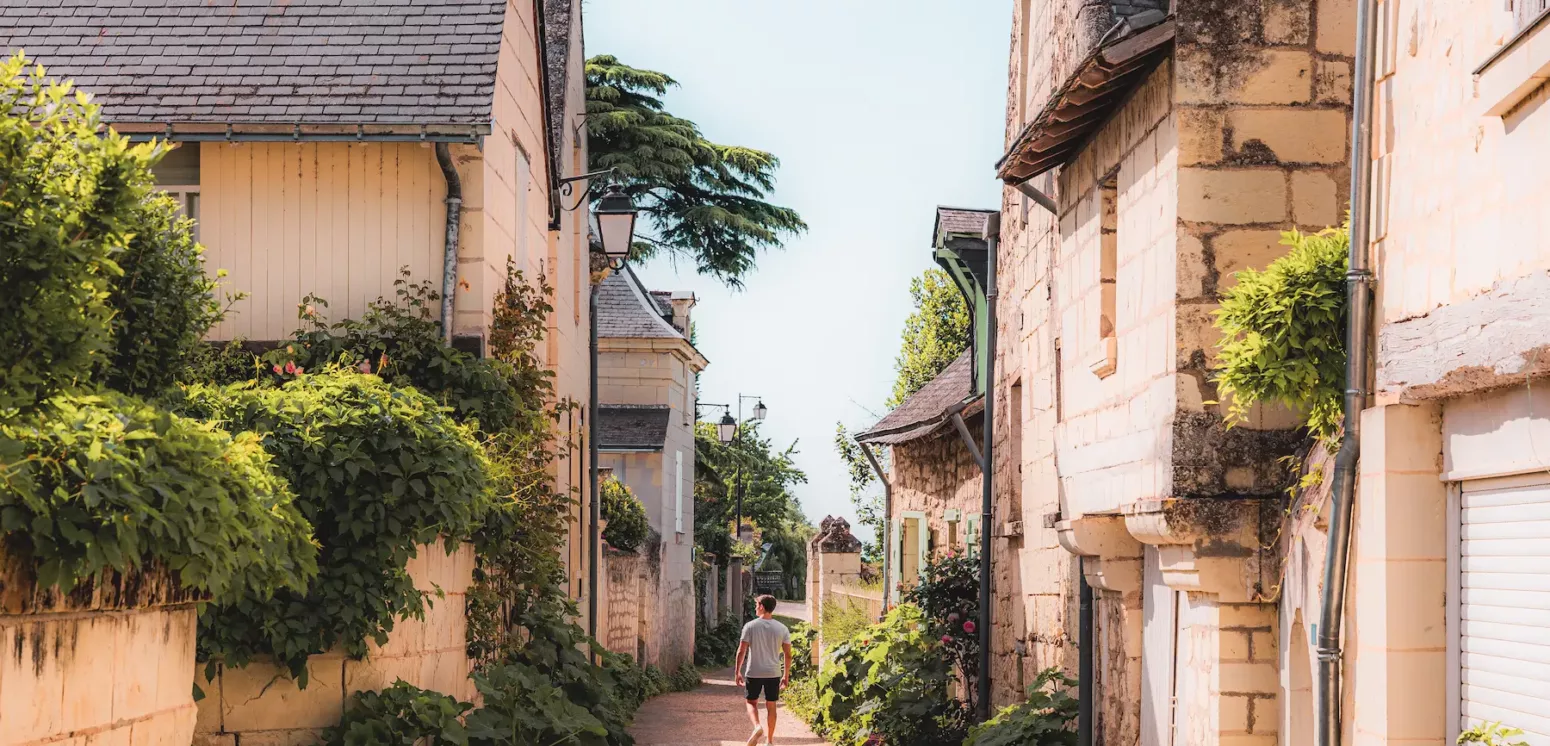 Candes Saint Martin Les plus beaux villages de Touraine