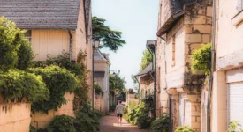 Candes Saint Martin Les plus beaux villages de Touraine