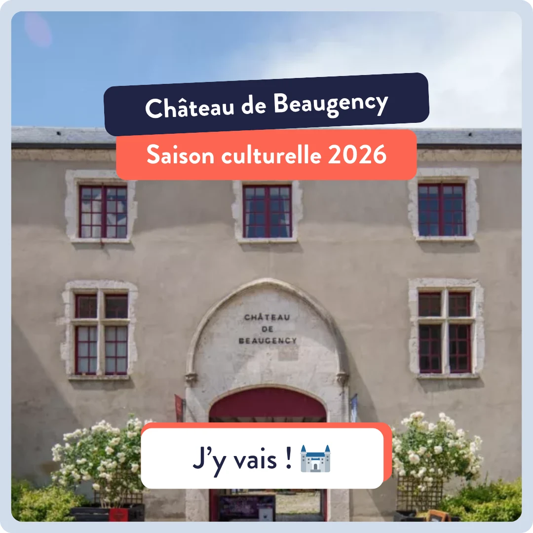 Château de Beaugency