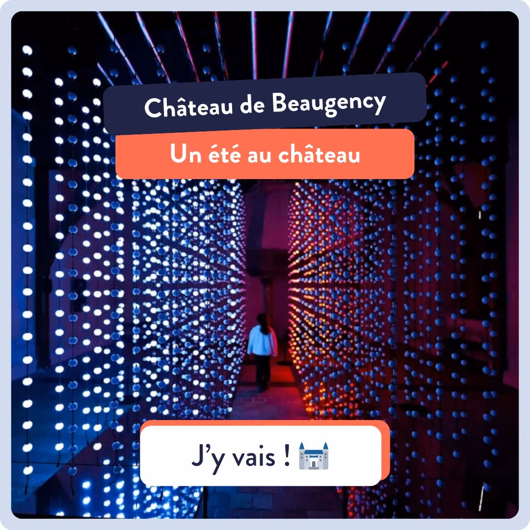 Château de Beaugency - encart 2 (1)