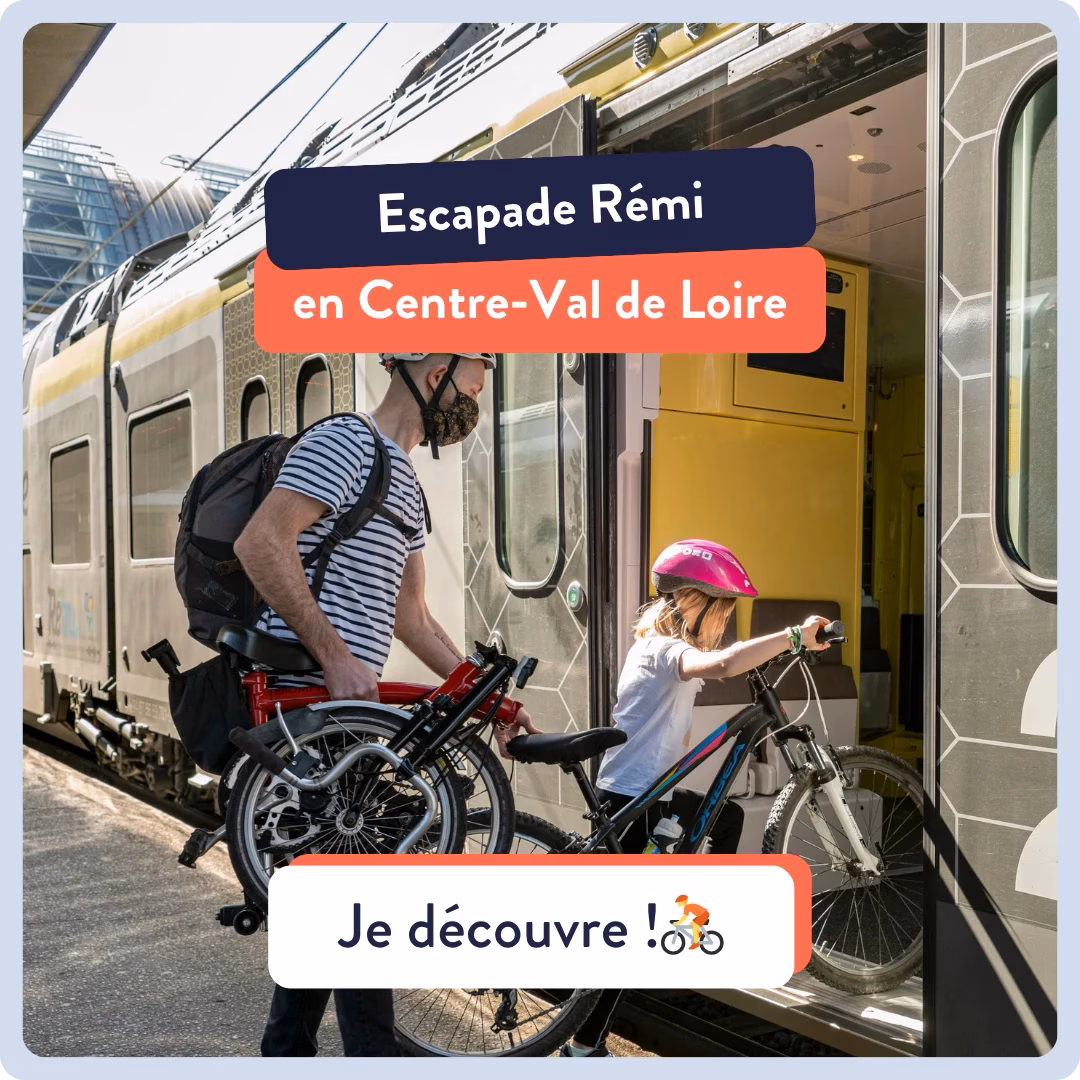 Rémi 2