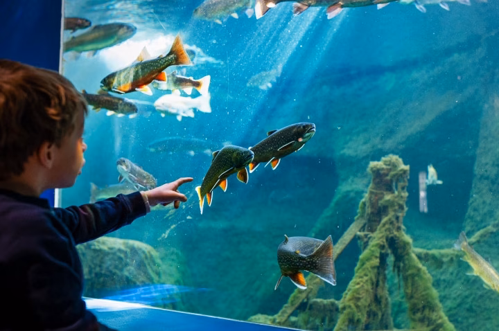 aquarium de touraine