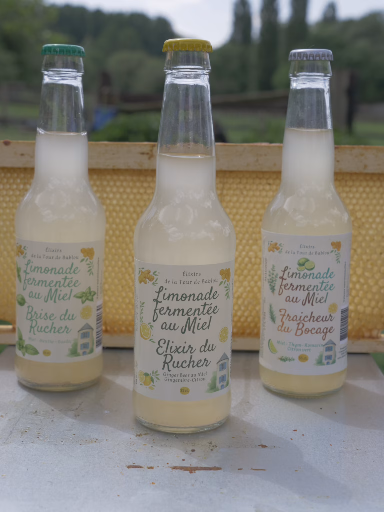 Elixirs de la Tour de bablou