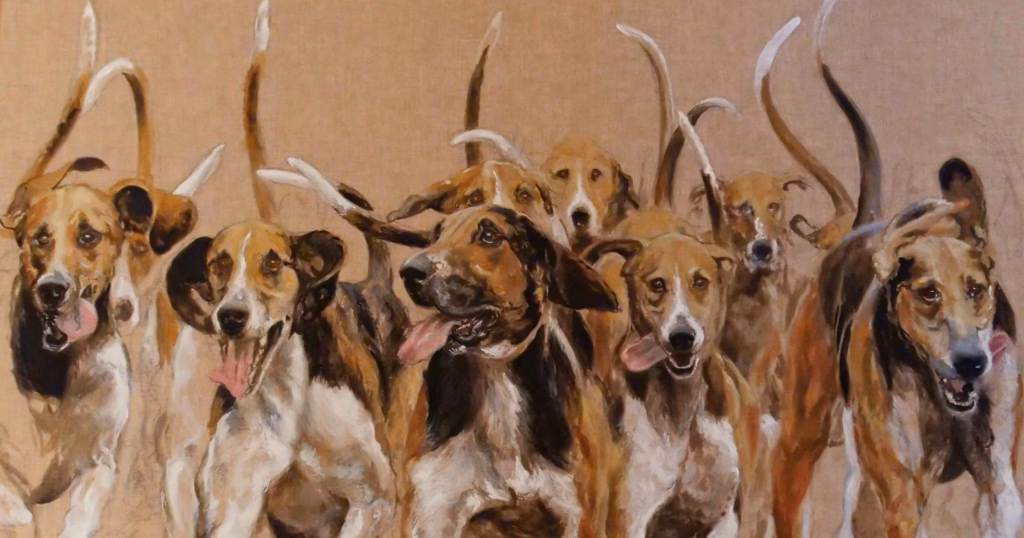 A pack of lean dogs (greyhounds) running toward the camera with tongues out, showing motion and excitement.